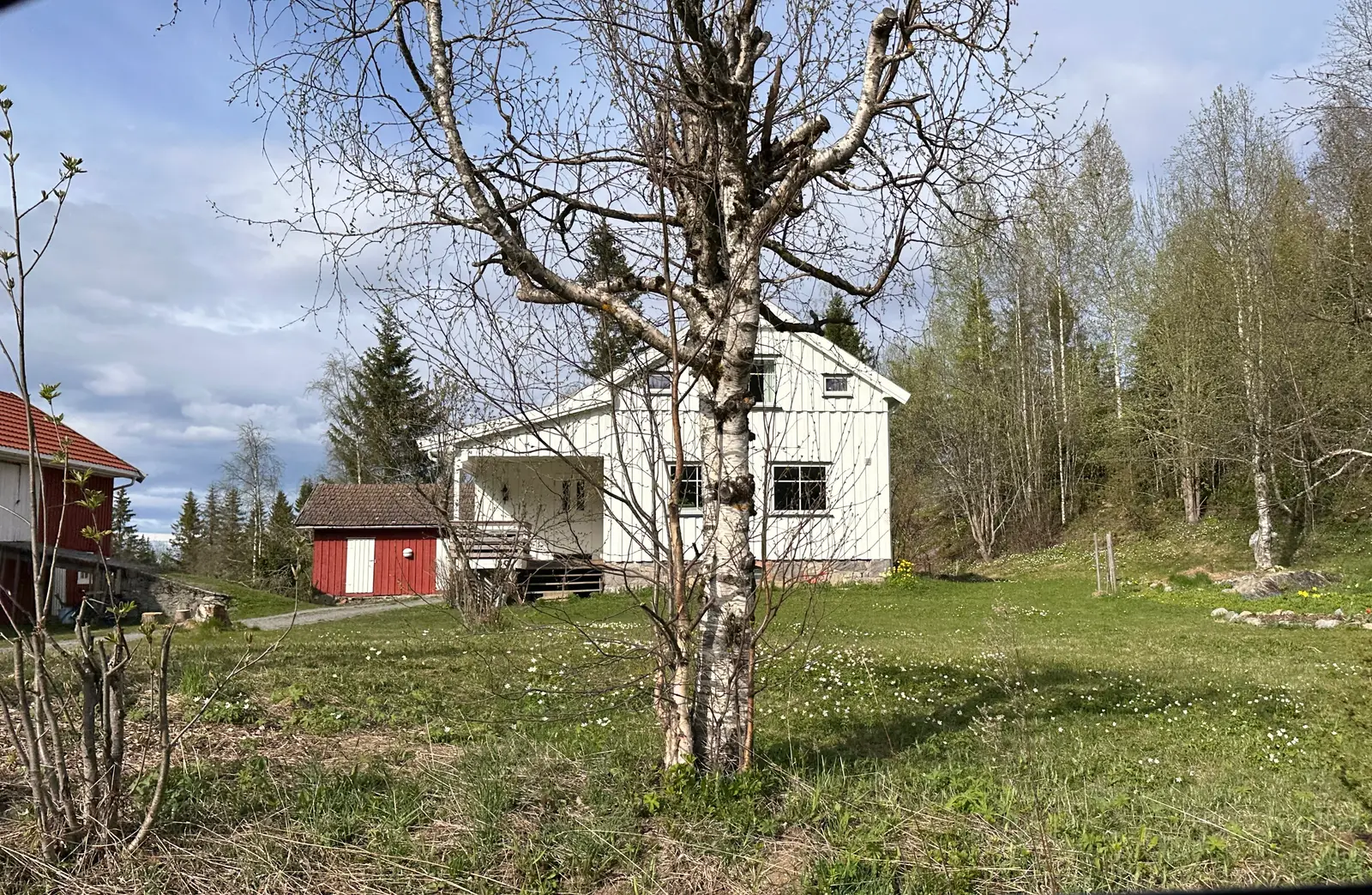 Gårdstun med bjørk i Lunner